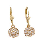 14 Karaat Gouden Rozet Oorbellen met Diamant ca. 0.60 ct